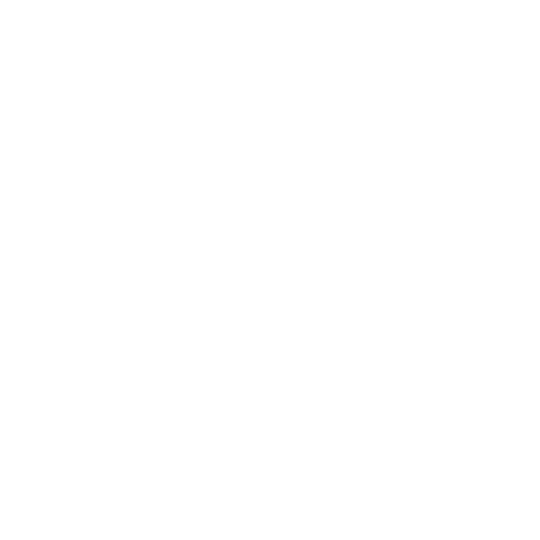 Privacy First Icon